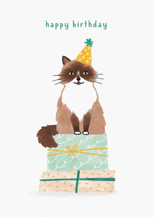 Verjaardagskat | Bloemenzaad