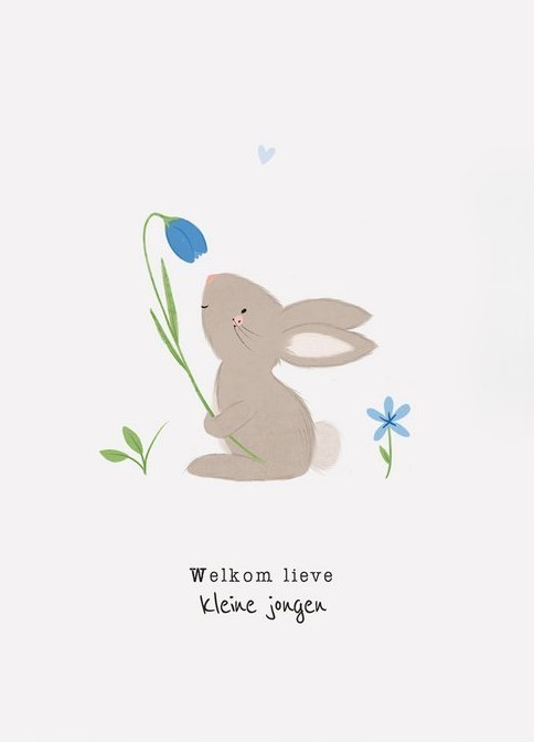 Welkom Jongen | Bloemenzaad