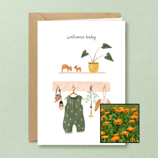 Welkom Baby | Bloemenzaad