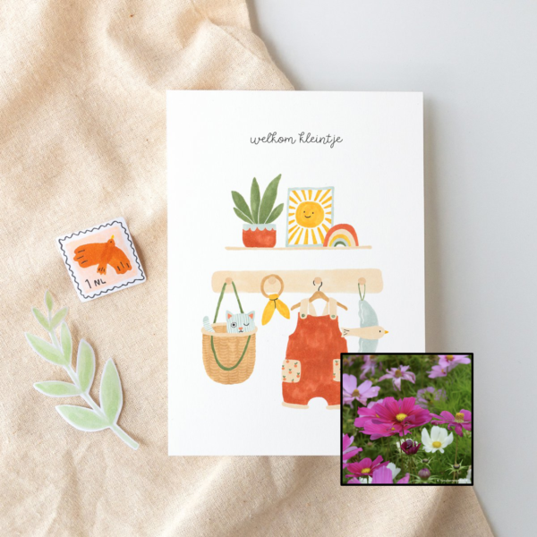 Welkom Kleintje | Bloemenzaad