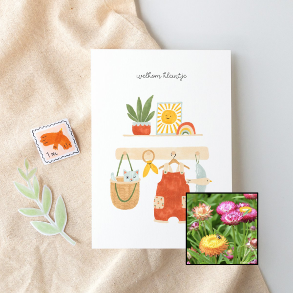 Welkom Kleintje | Bloemenzaad