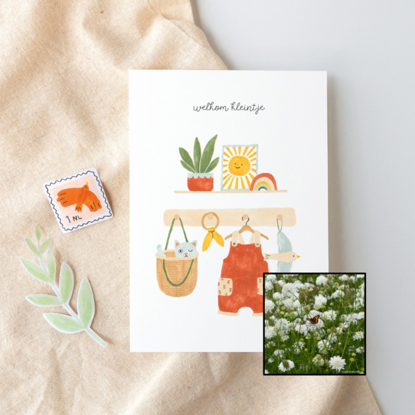 Welkom Kleintje | Bloemenzaad