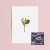 Boeket & Bij wenskaart met bloemenzaad met bijenvoer