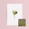 Boeket & Bij wenskaart met bloemenzaad met bloemenmix voor bijen