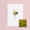 Boeket & Bij wenskaart met bloemenzaad met goudsbloemen