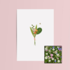 Boeket & Bij wenskaart met bloemenzaad met juffertje in het groen