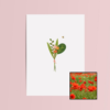 Boeket & Bij wenskaart met bloemenzaad met klaprozen