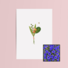 Boeket & Bij wenskaart met bloemenzaad met korenbloemen blauw