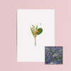 Boeket & Bij wenskaart met bloemenzaad met korenbloemen mix