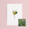 Boeket & Bij | Bloemenzaad