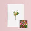 Boeket & Bij wenskaart met bloemenzaad met zinnia elegans dahlia