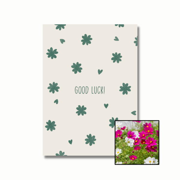 Good Luck wenskaart met bloemenzaad met cosmea kleurenmix