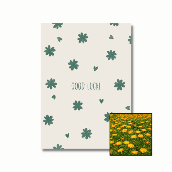 Good Luck wenskaart met bloemenzaad met goudsbloemen