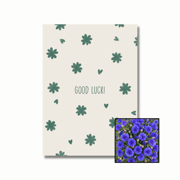 Good Luck wenskaart met bloemenzaad met korenbloemen blauw
