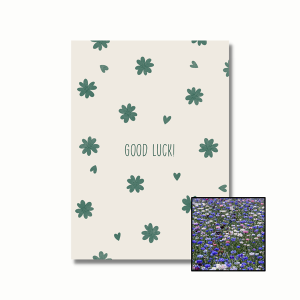 Good Luck wenskaart met bloemenzaad met korenbloemen kleurenmix