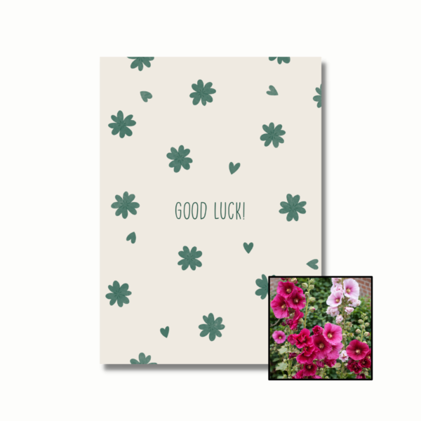 Good Luck wenskaart met bloemenzaad met stokroos