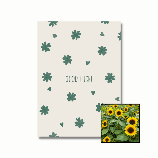Good Luck wenskaart met bloemenzaad met hoge zonnebloemen