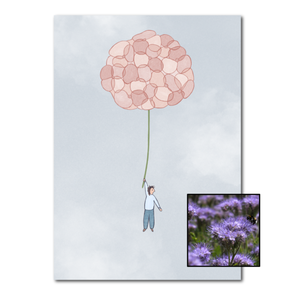 Hortensia wenskaart met bloemenzaad met bijenvoer