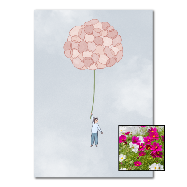 Hortensia wenskaart met bloemenzaad met cosmea kleurenmix