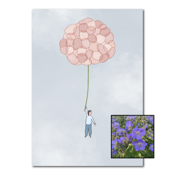 Hortensia wenskaart met bloemenzaad met geranium
