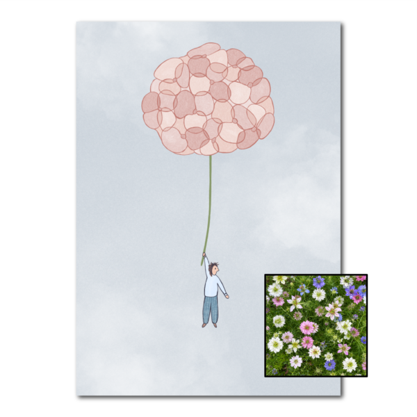 Hortensia wenskaart met bloemenzaad met juffertje-in-het-groen