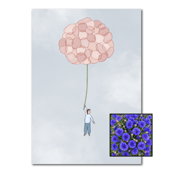 Hortensia wenskaart met bloemenzaad met korenbloemen blauw