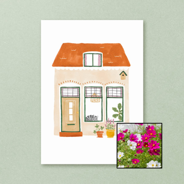 Huisje wenskaart met bloemenzaad met cosmea kleurenmix