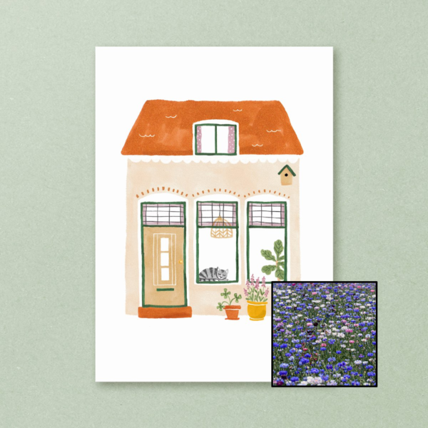 Huisje wenskaart met bloemenzaad met korenbloemen kleurenmix