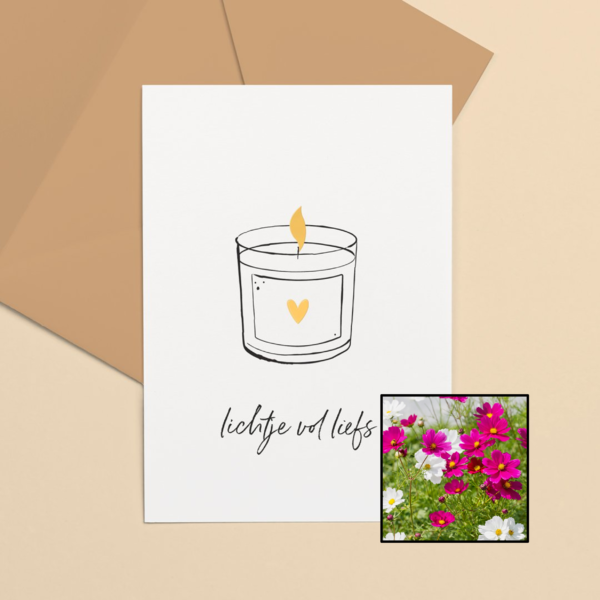 Lichtje vol Liefs wenskaart met bloemenzaad met cosmea kleurenmix