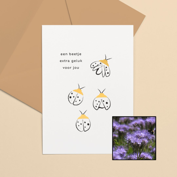 Lieveheersbeestje wenskaart met bloemenzaad met bijenvoer