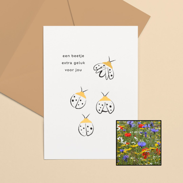 Lieveheersbeestje wenskaart met bloemenzaad met bloemenmix voor bijen