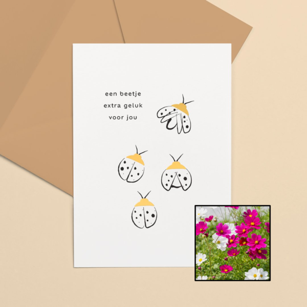 Lieveheersbeestje wenskaart met bloemenzaad met cosmea kleurenmix