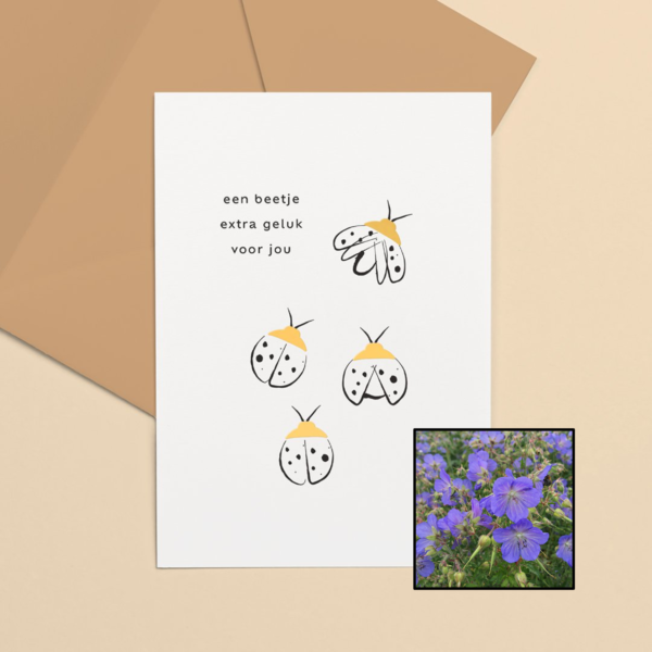 Lieveheersbeestje wenskaart met bloemenzaad met geranium