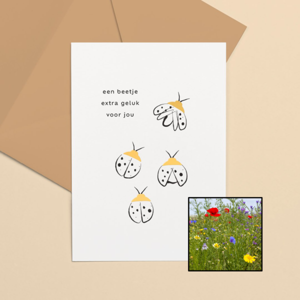 Lieveheersbeestje wenskaart met bloemenzaad met inheemse bloemenmix