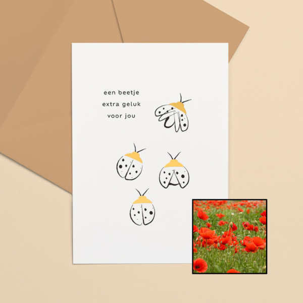 Lieveheersbeestje wenskaart met bloemenzaad met klaprozen