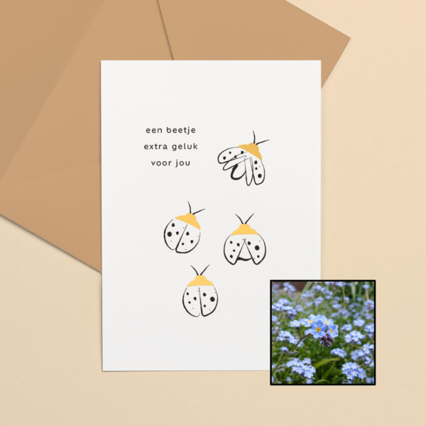Lieveheersbeestje wenskaart met bloemenzaad met vergeet-mij-nietjes