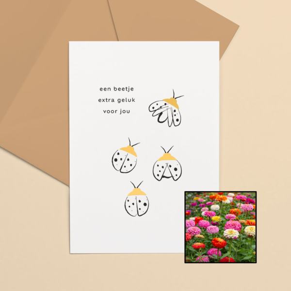 Lieveheersbeestje | Bloemenzaad