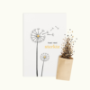 Sterkte wenskaart met bloemenzaad van Bloei-post