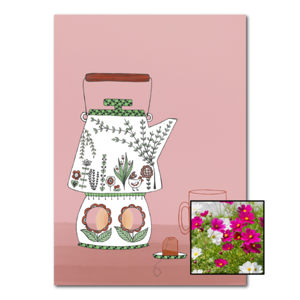 Theepot wenskaart met bloemenzaad met cosmea kleurenmix