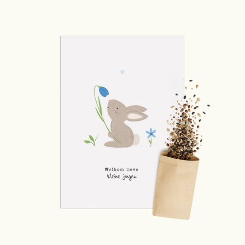 Welkom Jongen wenskaart met bloemenzaad van Bloei-post