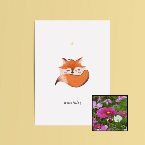 Hello Baby | Bloemenzaad