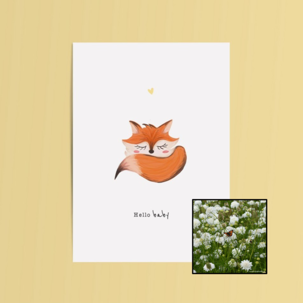 Hello Baby | Bloemenzaad