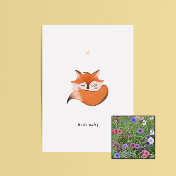 Hello Baby | Bloemenzaad