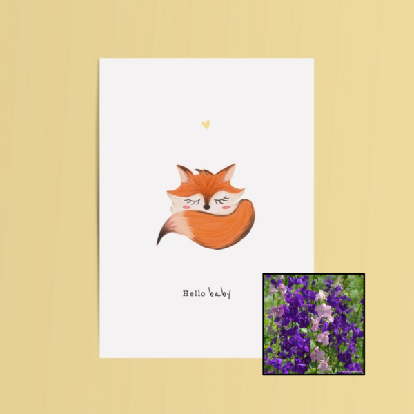 Hello Baby | Bloemenzaad