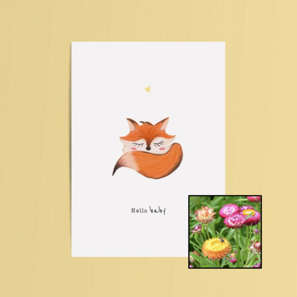 Hello Baby | Bloemenzaad