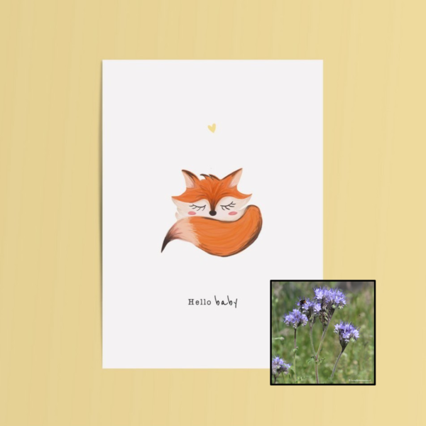 Hello Baby | Bloemenzaad