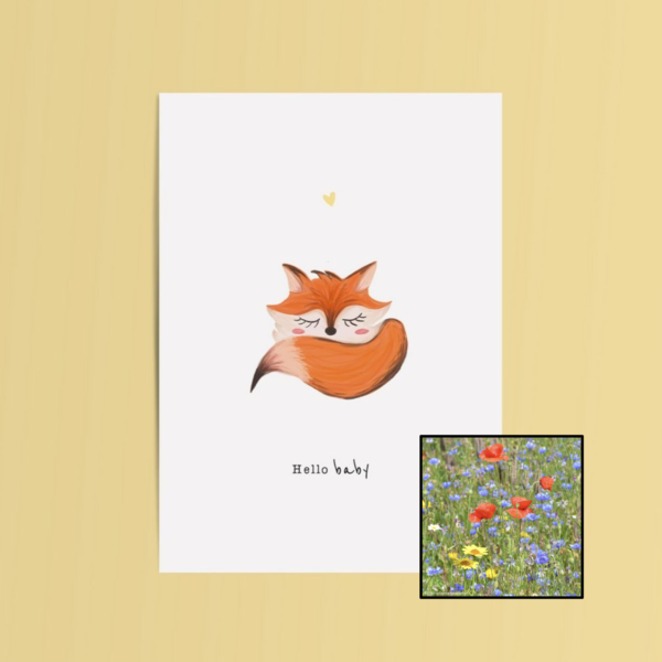 Hello Baby | Bloemenzaad