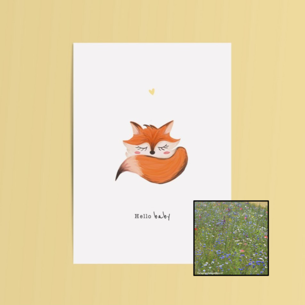 Hello Baby | Bloemenzaad