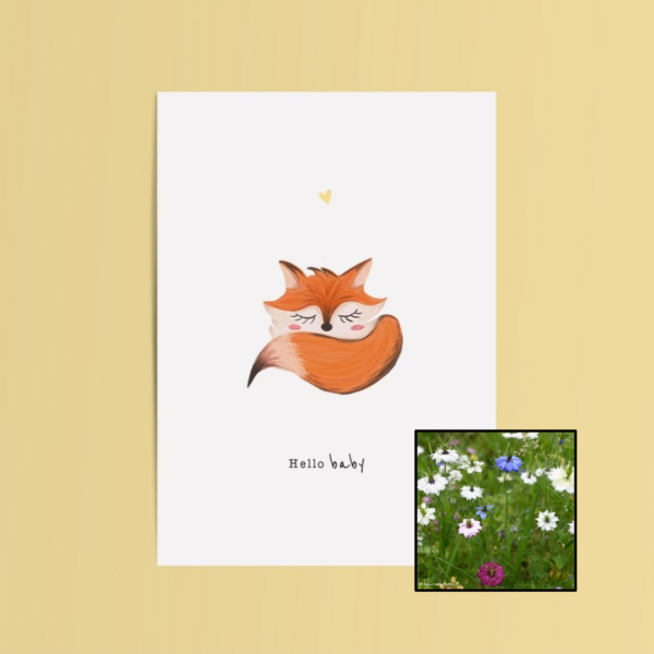 Hello Baby | Bloemenzaad