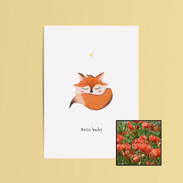 Hello Baby | Bloemenzaad